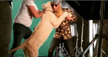 محمد رمضان يحفز جمهوره لانتظار حفله بصورة مع أسد ضخم.. اعرف التفاصيل