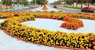"الجو عندهم ربيع طول السنة".. مليونا زهرة تزيّن شوارع مدينة العين الإماراتية