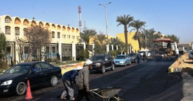 "الآثار": فتح كافة المزارات بأسوان لضيوف منتدى الشباب العربى الإفريقى مجانا