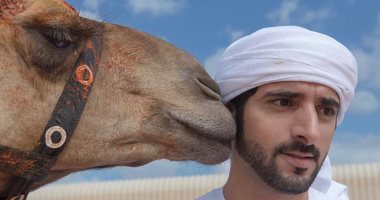 "جمل" ولى عهد دبى..  اعرف حكاية الصداقة والمنافسات الرياضية.. صور
