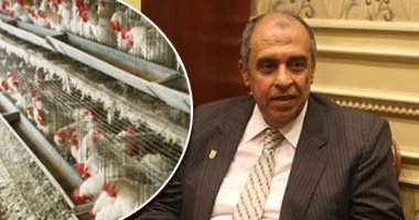"الزراعة" تكثف نشاطها فى سحب العينات من مزارع الدواجن بحثا عن العترة الجديدة لأنفلونزا الطيور h5n2.. الخدمات البيطرية: الفيروس لم ينتشر وجار  تتبعه وتقييم اللقاح.. والغرفة التجارية: تكشف ارتفاع أسعار الفراخ