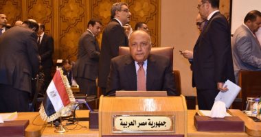 وزير الخارجية يشدد على ضرورة استعادة المفاوضات الجادة لإقامة دولة فلسطينية مستقلة.. "شكرى" يؤكد تمسك مصر الكامل بمبادرة السلام العربية.. ويدعو لمقاربة شاملة تكافح الإرهاب أمنياً وتمنع مصادر دعمه وتمويله