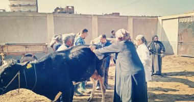 صندوق التأمين على الثروة الحيوانية ينظم قافلة بيطرية علاجية بمحافظة البحيرة