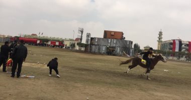 معقود فى نواصيها الخير.. عروض للخيالة بالداخلية على إصابة الأهداف بدقة