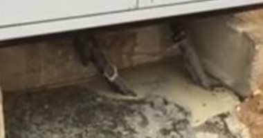 صور ..مياه الأمطار تصل لكبائن الكهرباء فى الشروق