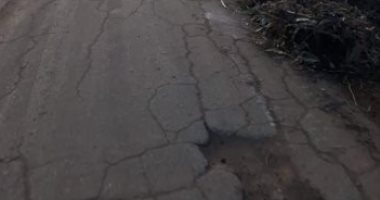 شكوى من تهالك شارع ترعة الزمر باتجاة المنيب