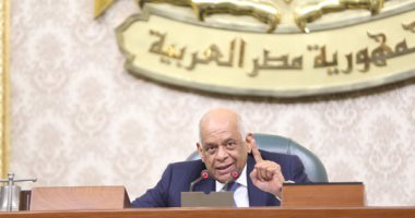 رئيس البرلمان مدافعا عن الأطباء: الأمهر ويتفوقون بالخارج بسبب التدريب الجيد