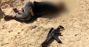 فيديو وصور.. القوات المسلحة: القضاء على 46 تكفيريا شديدى الخطورة وسط وشمال سيناء