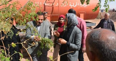 صور.. نائب محافظ الوادى الجديد تتفقد مشروع إنتاج "المورينجا" بقرية ناصر 