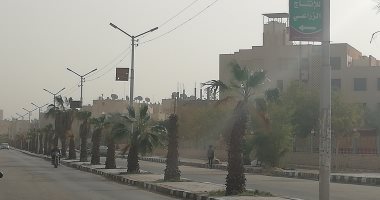صور.. طقس سيئ وموجة عواصف ترابية تعيق الرؤية على طرق الوادى الجديد 