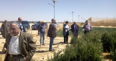 الزراعة تنعى وفاة أربعة من العاملين فى مشروع غرب المنيا