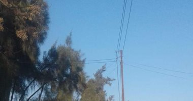 تهالك أعمدة الكهرباء بقرية الفولى منشأة أبو عمر فى الشرقية