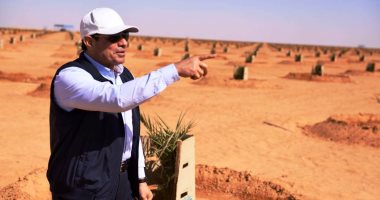 صور.. الرئيس السيسى يتفقد عدداً من المشروعات التنموية بمنطقة توشكى