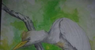 أحمد من الفيوم يشارك اليوم السابع رسوماته