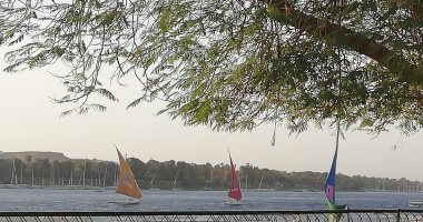 صور.. المراكب الشراعية بأسوان تقدم عروض بنهر النيل حاملة إعلام الدولة الأفريقية