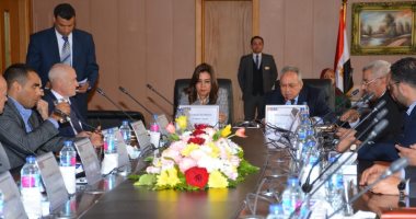 محافظ دمياط تلتقى أعضاء مركز صحة المخ والأعصاب بأيرلندا لبحث أوجه التعاون 
