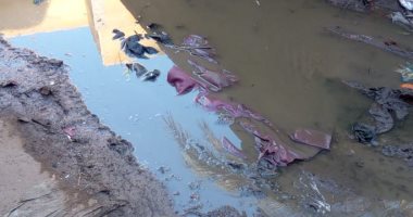 أهالى قرية الزعفران بالبحيرة يطالبون بمحطة صرف صحى