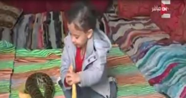 شاهد .. ساجد طفل السنوات الأربع يلعب مع الحيوانات الخطرة فى المنصورة 