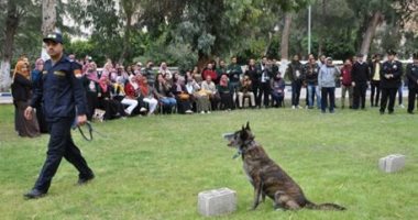 هول الكلب البوليسي الأشهر حكاية بطل صامت في مواجهة الجريمة