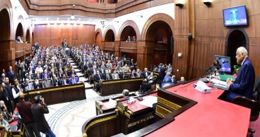 صور.. بدء جلسة "تشريعية النواب" للاستماع  إلى الآراء حول التعديلات الدستورية