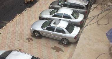 شكوى من تقطيع الأشجار وتحويل الرصيف لجراج للسيارات بدار السعادة بالزيتون