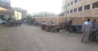 صور.. اضبط مخالفة.. سور مدرسة يتحول إلى جراج لعربات "الكارو والحنطور" بقنا