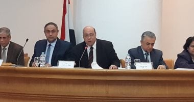 أكاديميون من الأعلى للثقافة: فيس بوك وراء كل الجرائم الإلكترونية