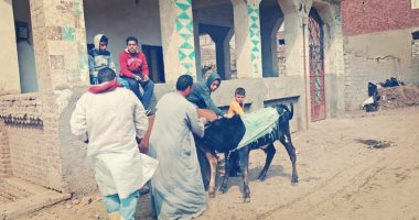  6 قوافل بيطرية مجانية بقرى محافظة الجيزة