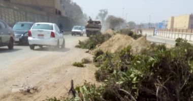 شكوى من تقطيع الأشجار المعمرة بشارع غرب الاستاد فى مدينة نصر