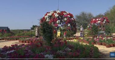 تصدير 45 ألف طن زهور ونباتات زينة بـ 52 مليون دولار فى 9 أشهر