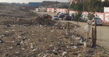 شكوى من انتشار الكلاب الضالة وأكوام القمامة داخل أرض فضاء بالمعصرة