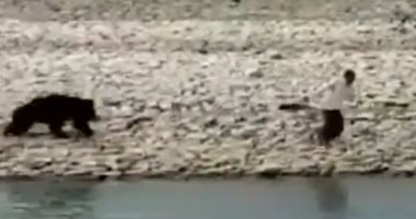 "مش عاوز يعيش في الغابة".."دب" يعتدى على هندي خلال نقله لأحد الغابات..فيديو