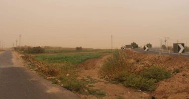 استمرار سوء حالة الطقس وتزايد هبوب الرياح المحملة بالأتربة بالوادى الجديد