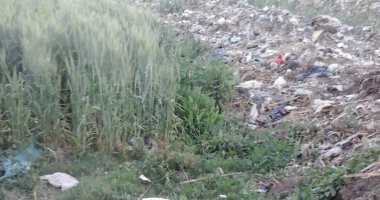 أهالى كفر قورص بالمنوفية يتضررون من تطهير مصرف أبو رقبة وإلقاء المخلفات بالأرض الزراعية