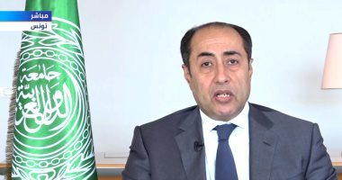 حسام زكى: اجماع عربى كامل على مطالب الرئيس الفلسطينى لاستعادة الحقوق 