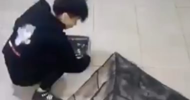 تشوفها تقول بجد.. شاب يبدع فى رسم لوحات 3D بالفحم.. فيديو