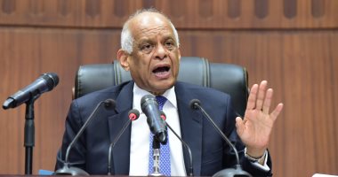 عبد العال: جلسات الحوار حول الدستور ليست "شكلية" وليس لدينا تعديلات مُعلبة