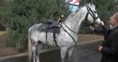 صور.. رئيس قرغيزستان يهدى بوتين حصان أورلوف وكلب تايجان وجرو