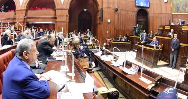 رئيس النواب: البرلمان سيأخذ وقته فى مناقشة التعديلات الدستورية