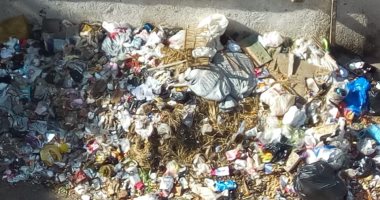 سيارة جمع القمامة تأتى مرة كل أسبوع.. شكوى قرية البغدادى بالأقصر