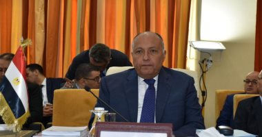 مصر تعقد اجتماعا للشركاء الإقليميين للسودان فى أديس أبابا