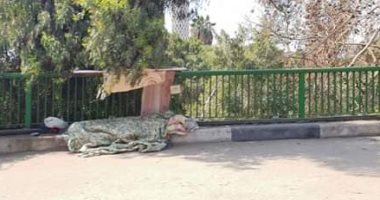 قارئة تشارك صورة مسن يفترش الرصيف عند نهاية كوبرى أكتوبر باتجاه حى الزمالك
