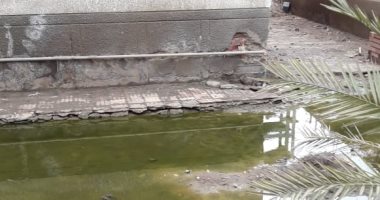 شكوى من محاصرة مياه الصرف لقرية بمركز أشمون فى المنوفية.. فيديو وصور