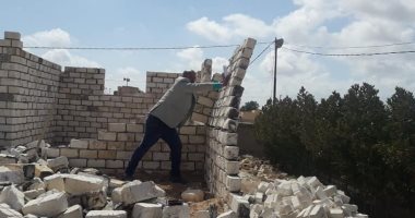 مواصلة حملات الازالة للبناء بدون ترخيص  ببرج العرب غرب الاسكندرية