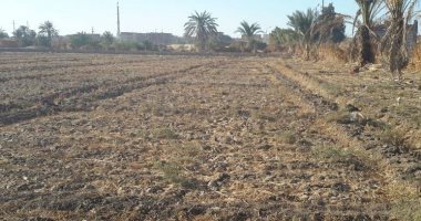 شكوى من أهالى قرية الجمهود ببنى سويف لمعانتهم من نقص الخدمات