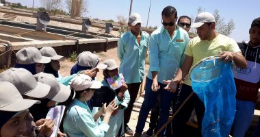 صور.. "بحيرة ناصر" مركز تأهيل علمى لطلاب كلية تكنولوجيا المصايد
