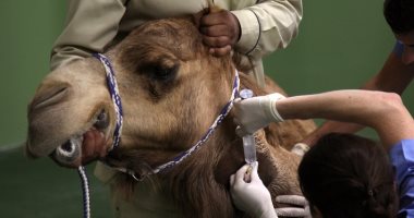 فيديوجراف.. تعرف على أول مستشفى لعلاج الجمال فى دبى بتكلفة 40 مليون درهم