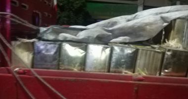 ضبط 6 أطنان عسل أسود منتهى الصلاحية فى حملات تموينية بالفيوم