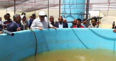محافظ الوادي الجديد يتفقد مشروع استزراع سمكى بالداخلة