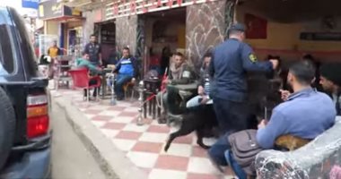 فيديو.. مداهمات أمنية ضد مروجى المخدرات بمحيط الكافتيريات